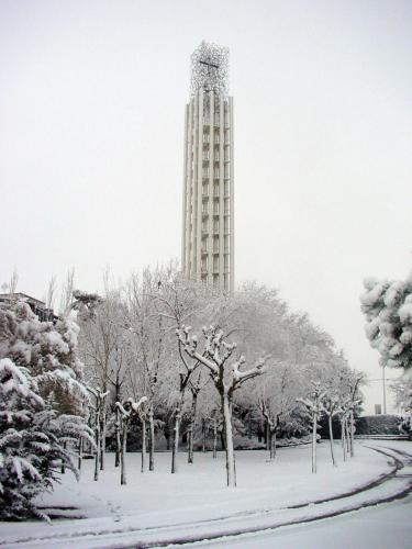 San Pedro nevado 042